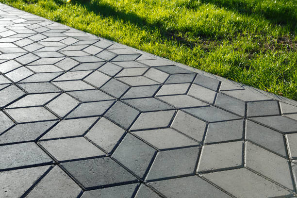 Best Driveway Repair Near Me  in Delano, MN
