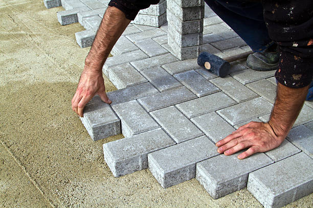 Best Driveway Pavers Near Me  in Delano, MN